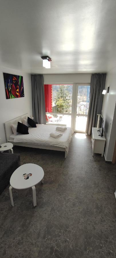 Apartament Belle View Sinaia-Free Parking Zewnętrze zdjęcie