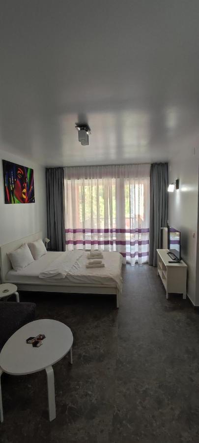 Apartament Belle View Sinaia-Free Parking Zewnętrze zdjęcie